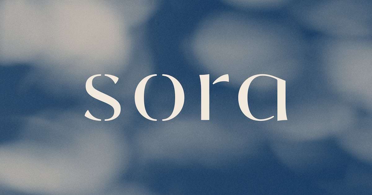 SORA Phoenix